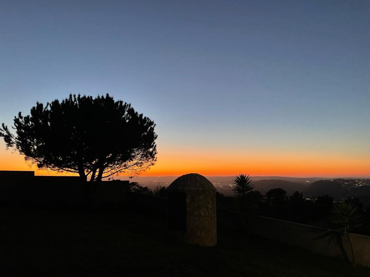 Villa Junceira - Refugio De Luxo Perto Do Castelo Обідуш Екстер'єр фото